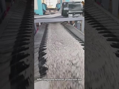 Productielijn voor samengestelde meststoffen met dubbele rol