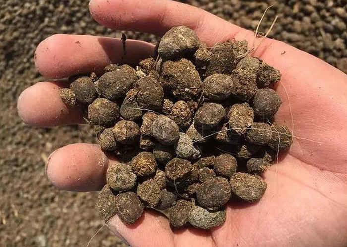 Granulator van meststoffen voor het granuleren van organische materialen zoals hooi, paardenafval, plantaardige restanten en fulvinezuur