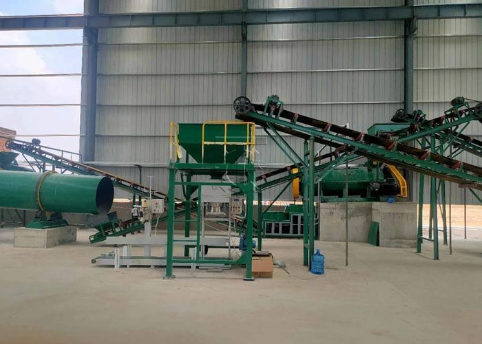 Productielijn voor het maken van mestpelletten voor vee en pluimvee Productielijn voor granulatoren voor organische meststoffen
